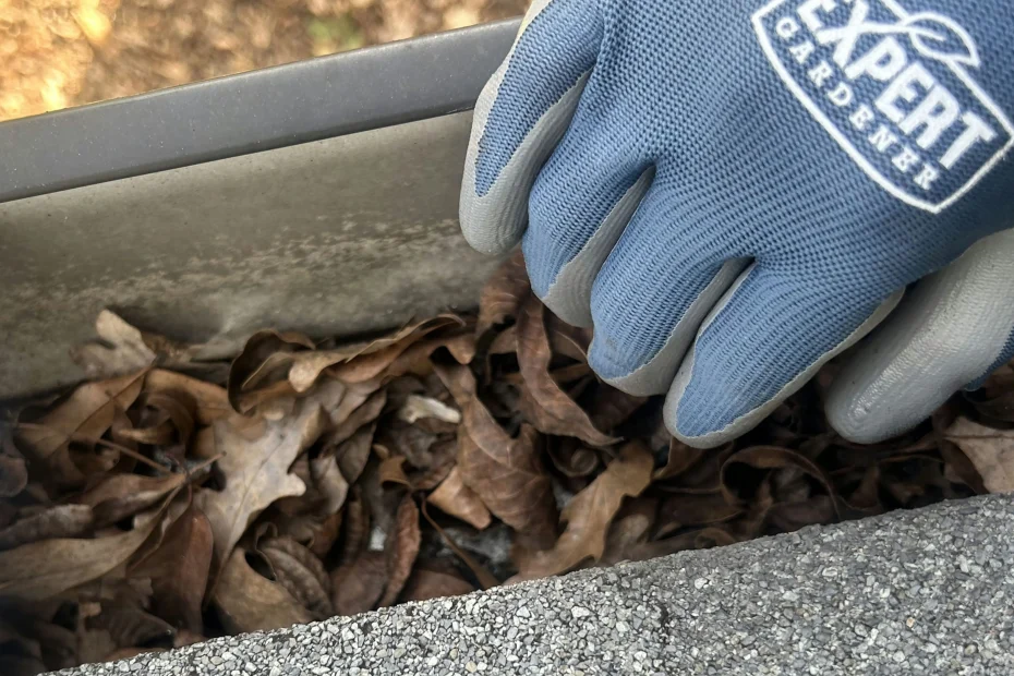 Gutter Cleaning Kiawah Island