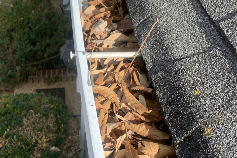 Gutter Cleaning Kiawah Island